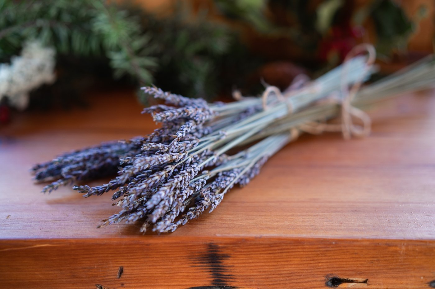 Mini Lavender Bouquet Bilston Creek Farm