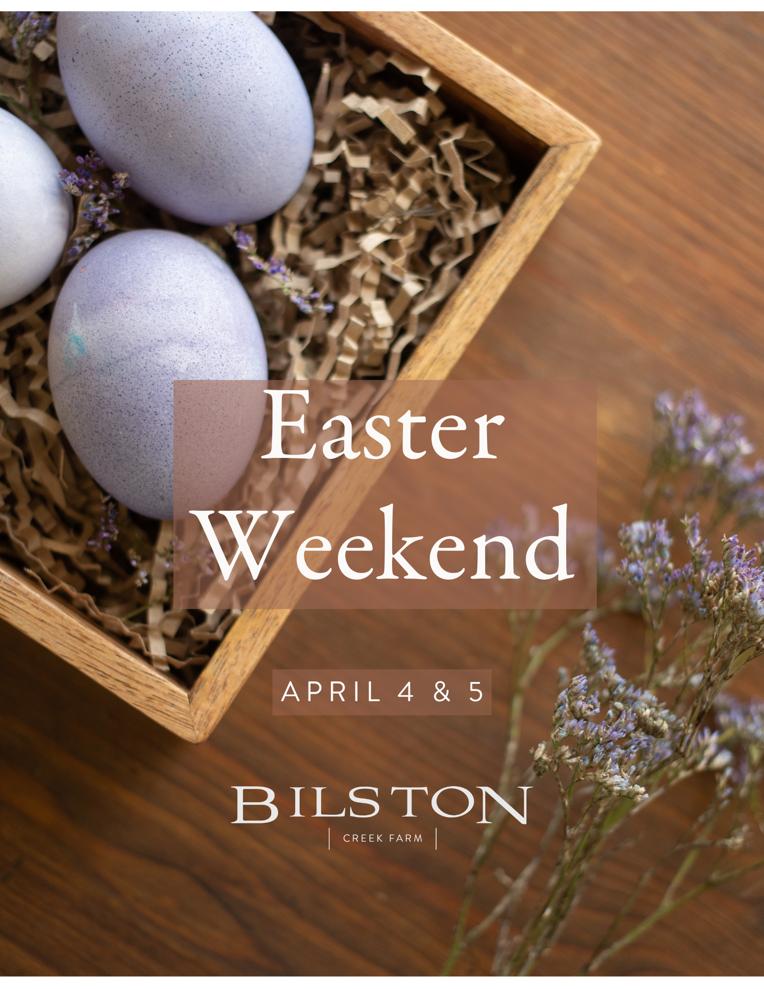 Photo Credit: Amy Lobb Portraits